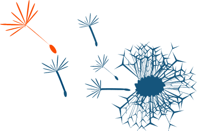 Kontaktaufnahme für eine Individuelle Beratung
