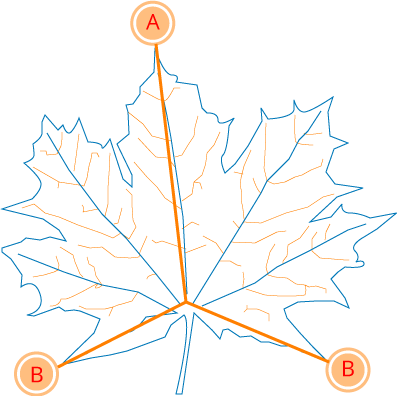 Mehr als 20 Jahre berufserfahrung, Ausgezeichnete Qualität